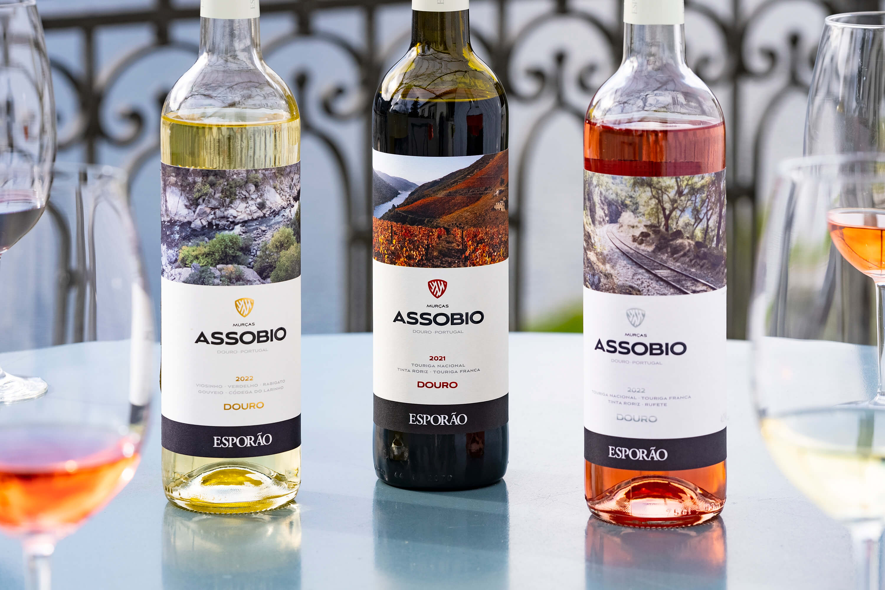 Prova Douro & Visita às Vinhas e Adega