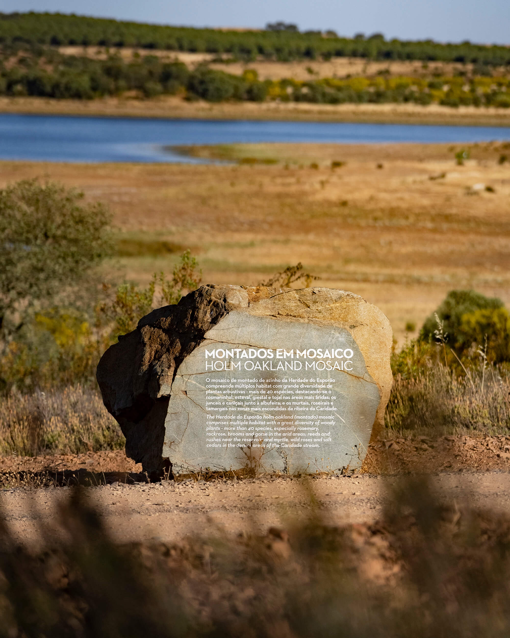 Trail at Herdade do Esporão